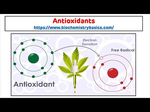 Antioxidants || Antioxidants Biochemistry || Free Radical