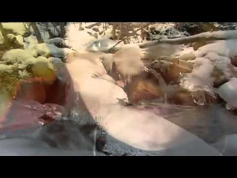 დათო კენჭიაშვილი