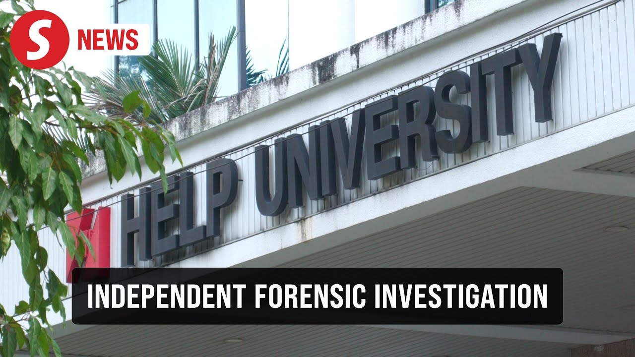 Independent forensic probe launched into blast