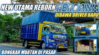 KESERUAN BONGKAR MUATAN DI PASAR BERSAMA DRIVER BARU TRUCK REBORN ‼️