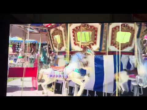 Spokane County Fair Carousel🦓Zebra🎠Horse🎠Horse🎠Horse🦌Deer🎠Horse