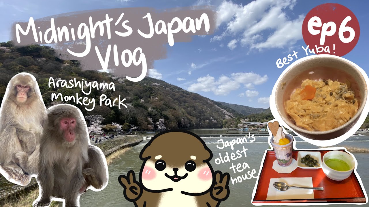 Kyoto Arashiyama Monkey Park, Uji tea at Japan's oldest tea house, best yuba! JAPAN 2023 VLOG