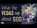 How is God | What Vedas say about God | Swami Mukundananda