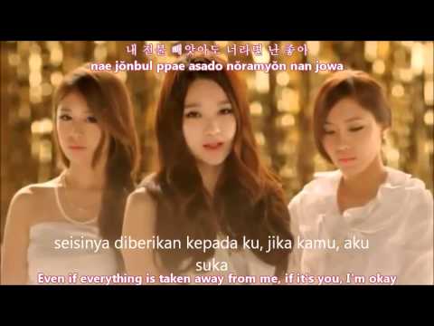 T-ARA we were in love indo sub (sinsaga)