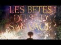 Once there was a hushpuppy  les btes du sud sauvage bof