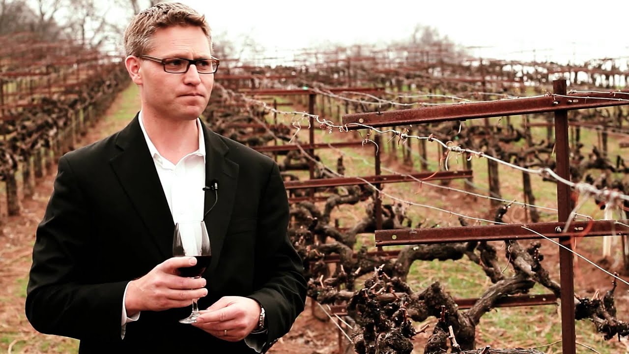 The Vine and the Branches YouTube