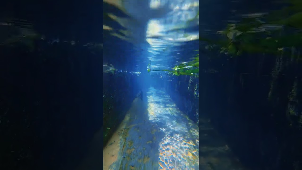 iPhone Camera Review