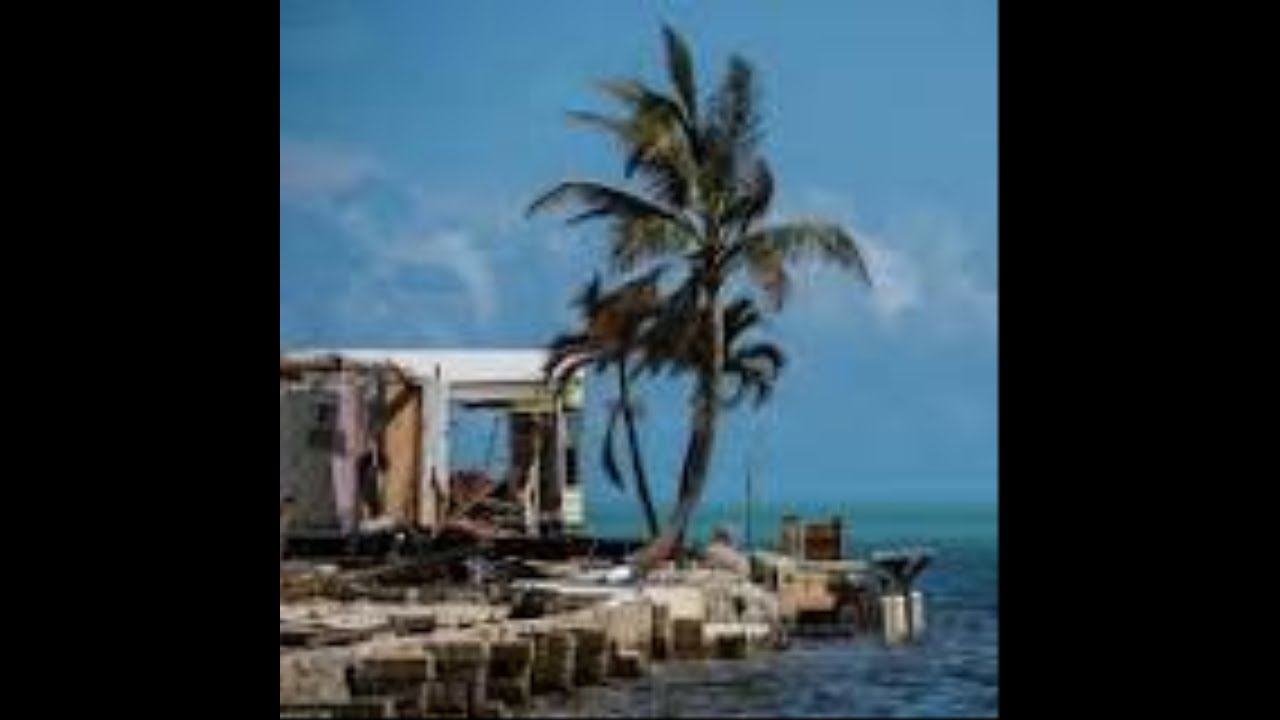 Carbon monoxide and nursing home deaths reported after Irma livestrong