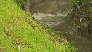 Anytime it rains, Arlington neighbors say goodbye to their backyards as gushing waters from city dra