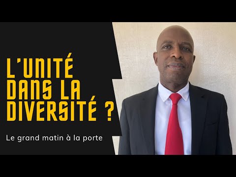 Vidéo: Pensez-vous au terme unité dans la diversité ?