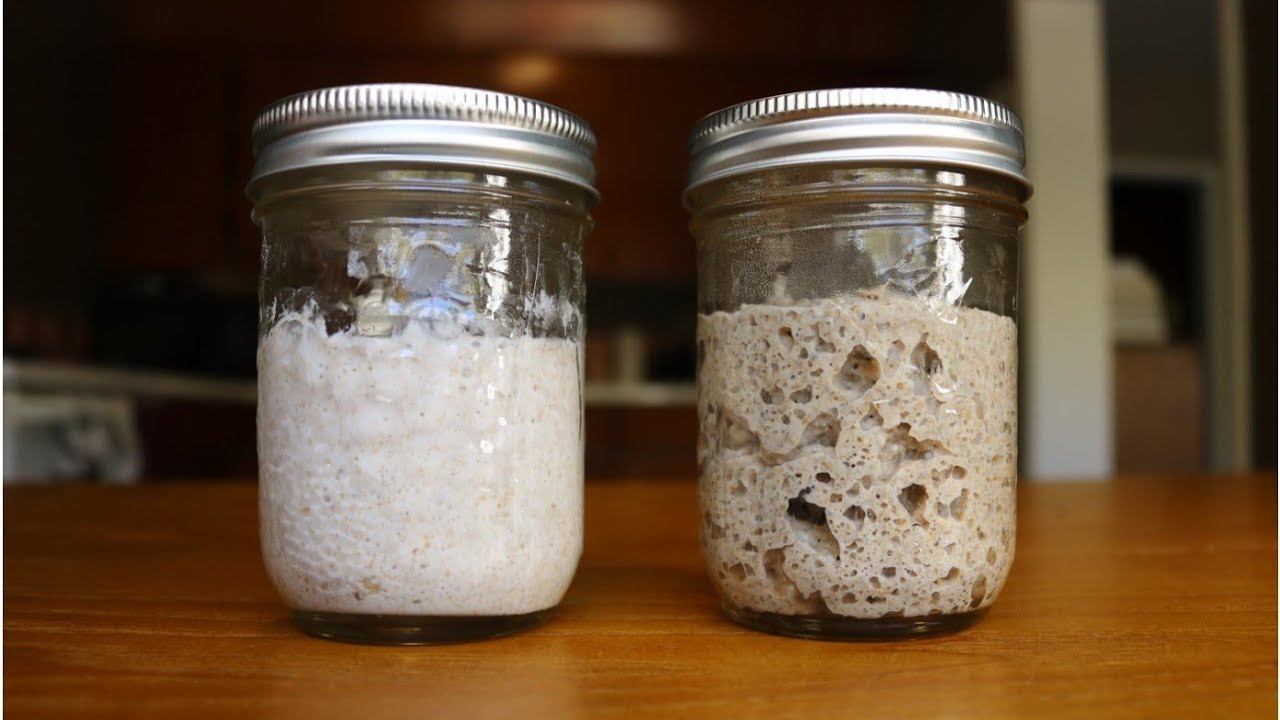 How I Feed my Rye and Wheat Sourdough Starters (HD) - YouTube