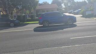 Commercial Pest Control Albion Park