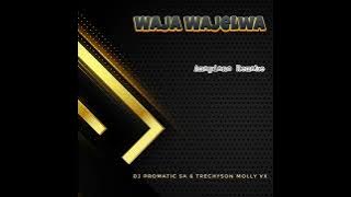 DJ Promatic SA & Trechyson Molly vx - Waja Wajelwa (Amapiano Remake)