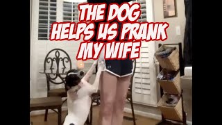 Pranking Mom Backfires