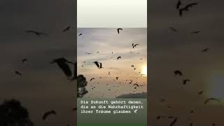 Gott Liebt Die Geduldigen