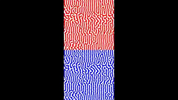 Domain reorientation upon sliding