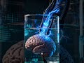 Brain in a Vat  #philosophy #philosophyshorts #deepthinking