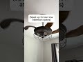 🤯 Now this is a cool fixture! Totally hidden fan blades and then poof! #modernhome #lubbockrealtor