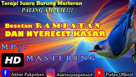 MP3 MASTERAN - BESETAN RAMBATAN DAN NYERECET KASAR SUARA JERNIH JEDA 1 - 2 MENIT