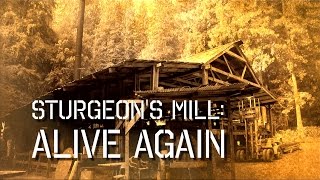 Sturgeons Saw Mill