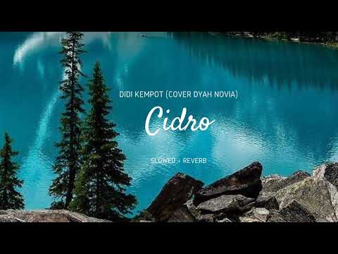Didi Kempot - Cidro (Cover Dyah Novia) Slowed + Reverb