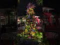 Disney Springs Christmas Tree Stroll 2020 #SHORTS