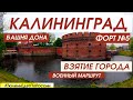 Отпуск в Калининграде - что смотреть? Военный маршрут. Смотрим с #ТюленьЕдетПоРоссии