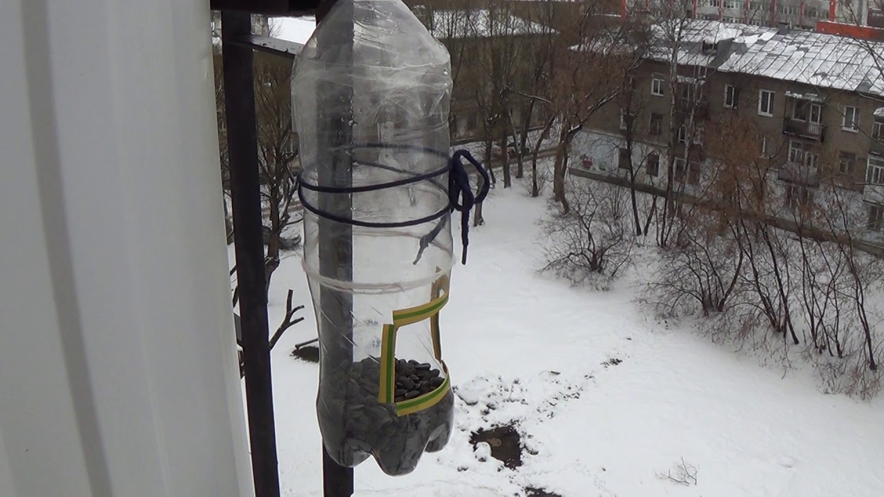 Кормушка Из Бутылки 5 Литров Фото