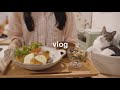 【vlog】一人暮らしの食事🐟冷凍鯖を大量に購入してヘルシーな生活をする日常