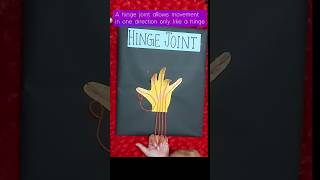 Working Model of Hinge Joint😍😍 #project #art #easy #diy