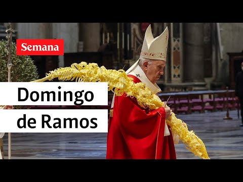 Semana Santa 2022: misa del Domingo de Ramos desde el Vaticano