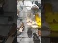 الاحذية الحقائب الملابس الاحذية الحقائب الملابس