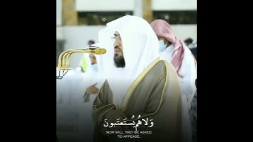 تلاوة هادئة للشيخ د. بندر بليلة من صلاة المغرب ١٠ ذو القعدة ١٤٤٢هـ