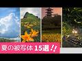夏に撮っておきたい風景・花・星空15選｜季節を感じる被写体たち