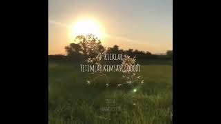 Nilufar Bintu  Nashida Nashida Nilufar Bintu