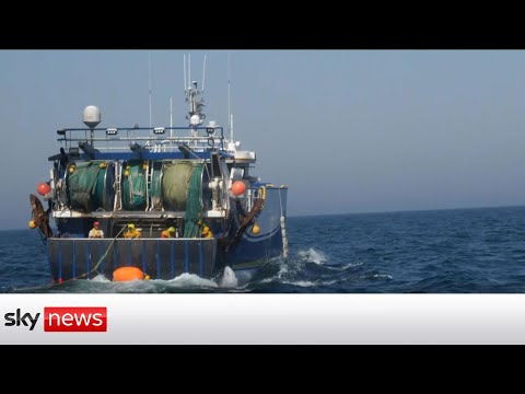 Fishing groups in the English Channel declare a state of emergency