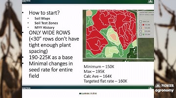 How to manage Iron Deficiency Chlorosis in Soybeans Using Variable Rate Seeding