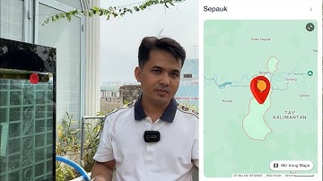 QUÝT LONG nào là đẹp nhất ? Chia sẻ nguồn gốc các tên của QUÝT LONG từ Indonesia