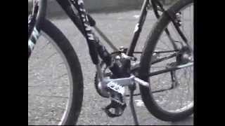 Bicicletta a pedalata assistita