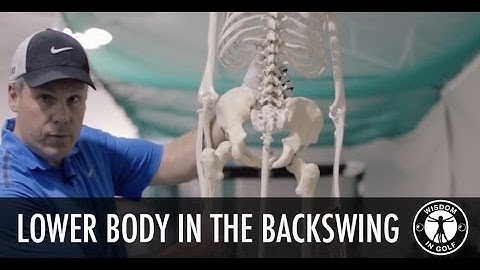 BEST LOWER BODY ACTION IN BACKSWING!  Shawn Clement Wisdom in Golf