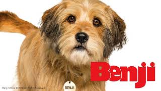Video thumbnail of "Benji (2018) Theme Song: "Almost Home." 🐶💚"