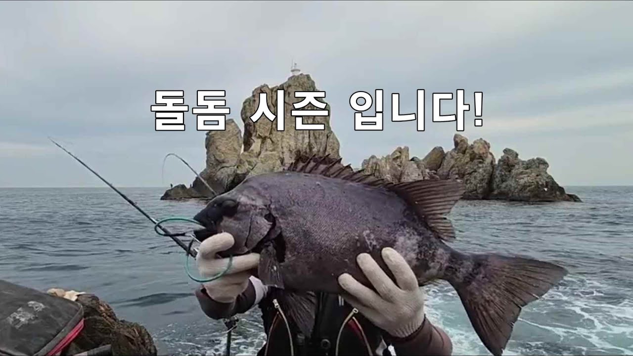 돌돔시즌 = 돌돔잡기 쉬운계절 입니다! 돌돔낚시 도전해 보세요 -1부- - YouTube