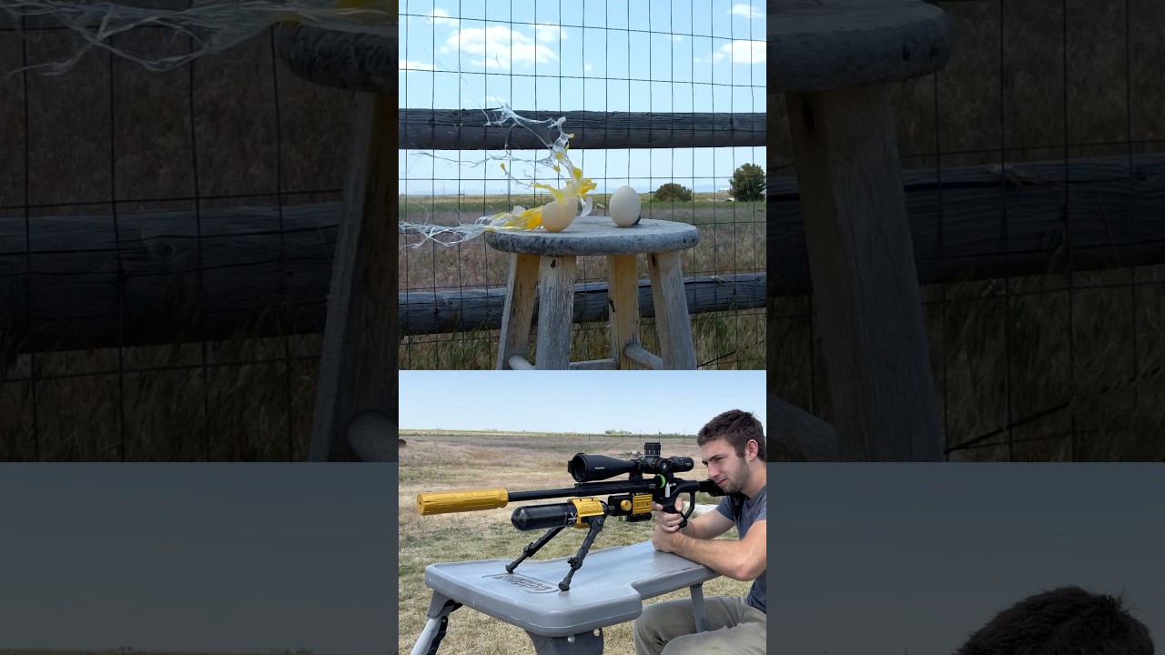 Destruction with 25 Caliber Umarex Notos Airgun