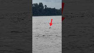 Famous Never Make The Mistake Of Saving This Drowning Person! 😨 Net Worth