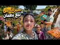 أجمل مكان للسيران هذا الصيف في ريف عفرين نبع بطمان فاجأنا 