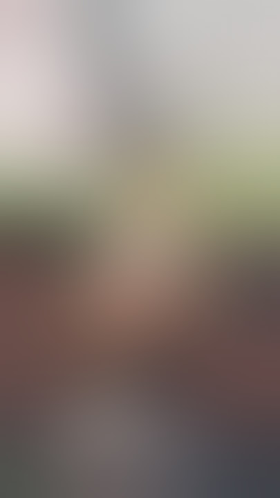 gatitayan777~1597384080~2375352313425880346_6300774164(2)