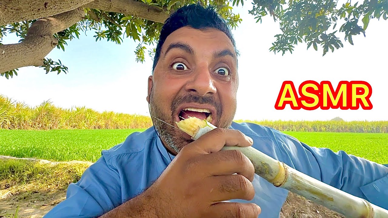 ASMR sugar cane chewing in very peaceful place 