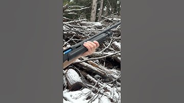 Smooth... for $150 Shotgun