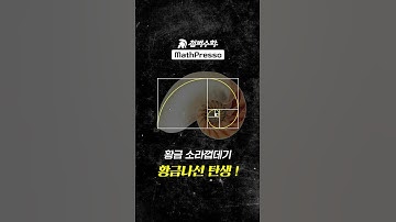 피보나치 수열을 제곱했더니 ... 😱