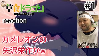 カメレオン 同時視聴